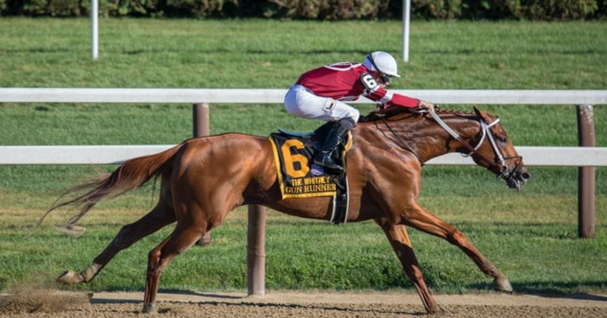 How to Watch It, How To Bet On It And More – Stocks News Feed 1 How to Watch It, How To Bet On It And More – Stocks News Feed