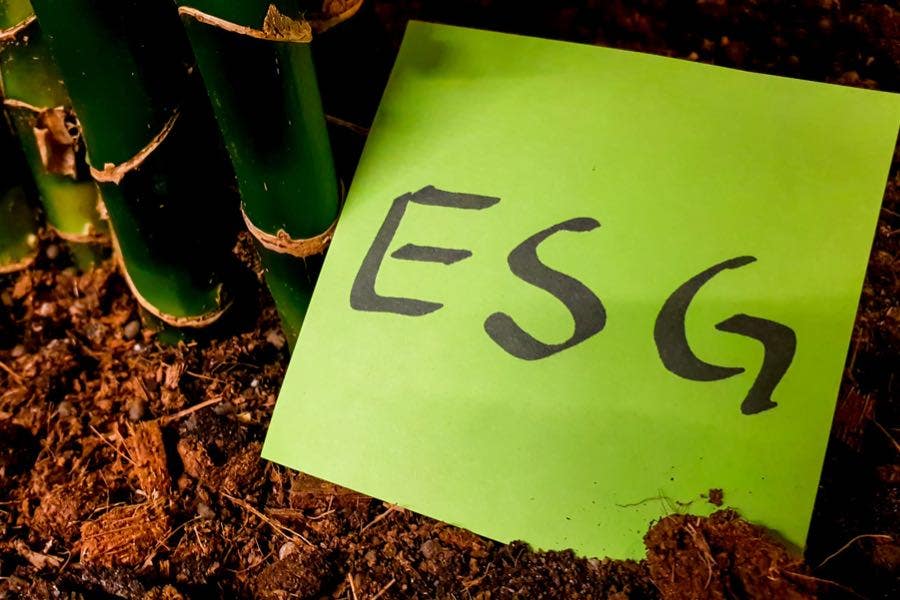 Navigating China's New ESG Disclosure Guidelines