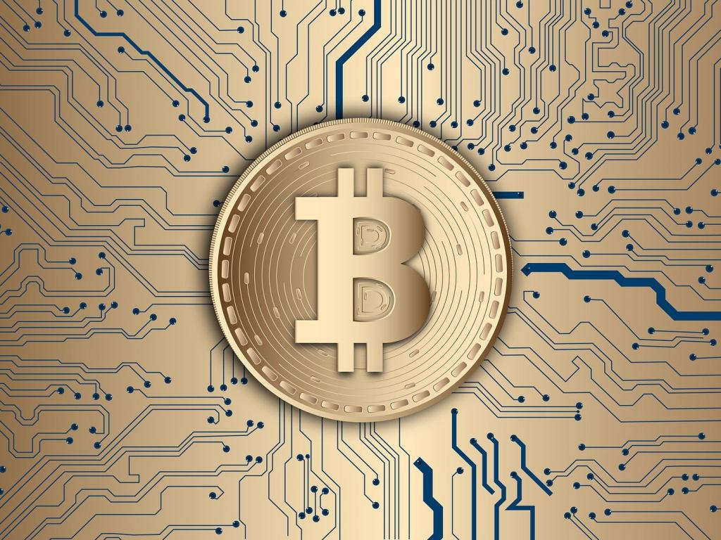 Трафик биткоин bitcoin network transaction fee
