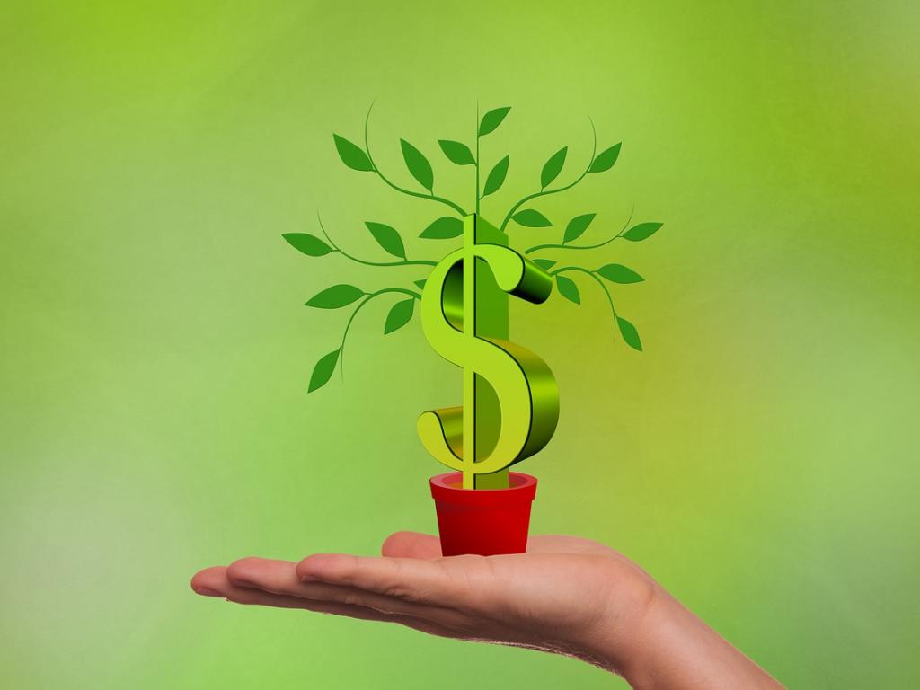 Dollar Tree, Inc. (NASDAQ:DLTR) - UBS On Dollar Tree: DT ...