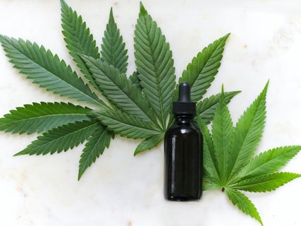 EXCLUSIVE: Trulieve CEO Kim Rivers: 'The Southeast Is Really The Next New Frontier Of Cannabis Reform'