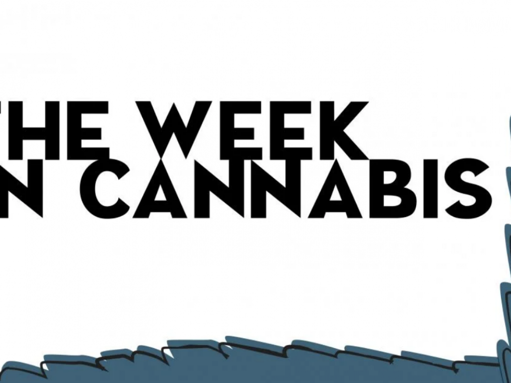  this-week-in-cannabis-tilray-aphria-sundial-go-for-a-ride-etfs-pop-with-cnbs-advancing-99 