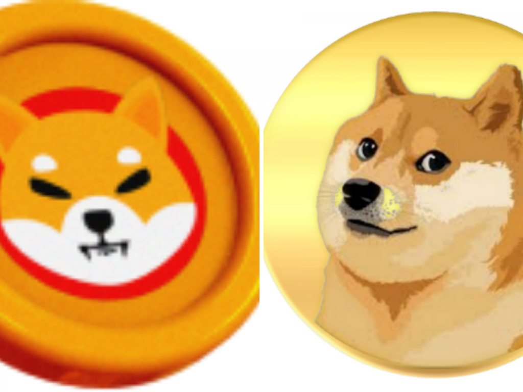 10 Companies That Now Accept Shiba Inu And Dogecoin As Payment