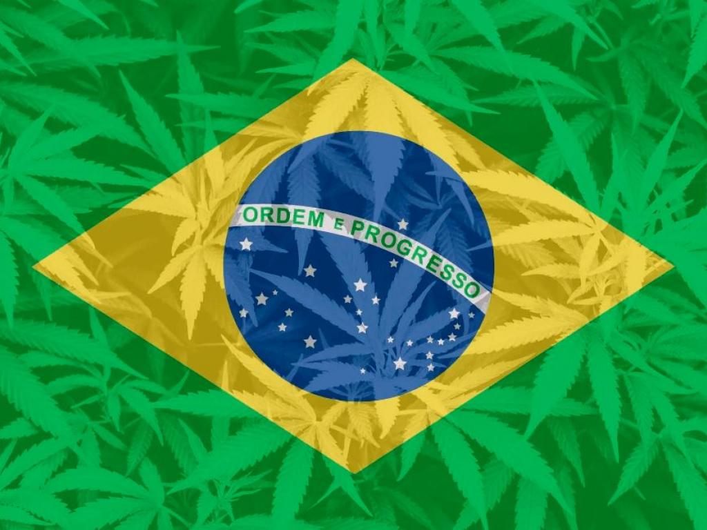  breaking-brazil-supreme-court-authorizes-citizens-to-grow-medicinal-cannabis 