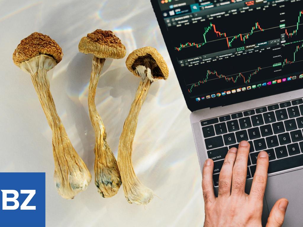  canada-based-project-solace-aims-to-provide-access-and-data-on-medical-psilocybin 