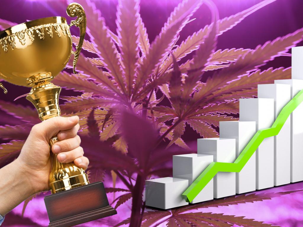  these-are-the-most-important-investors-in-the-cannabis-industry 