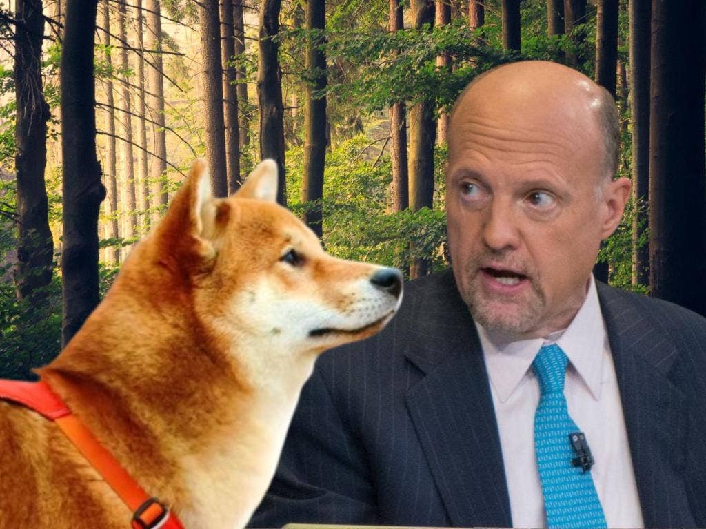 Jim Cramer Says Stay Away From Dogecoin And Shiba Inu, Making Money In Crypto Doesn't Mean It's For Real