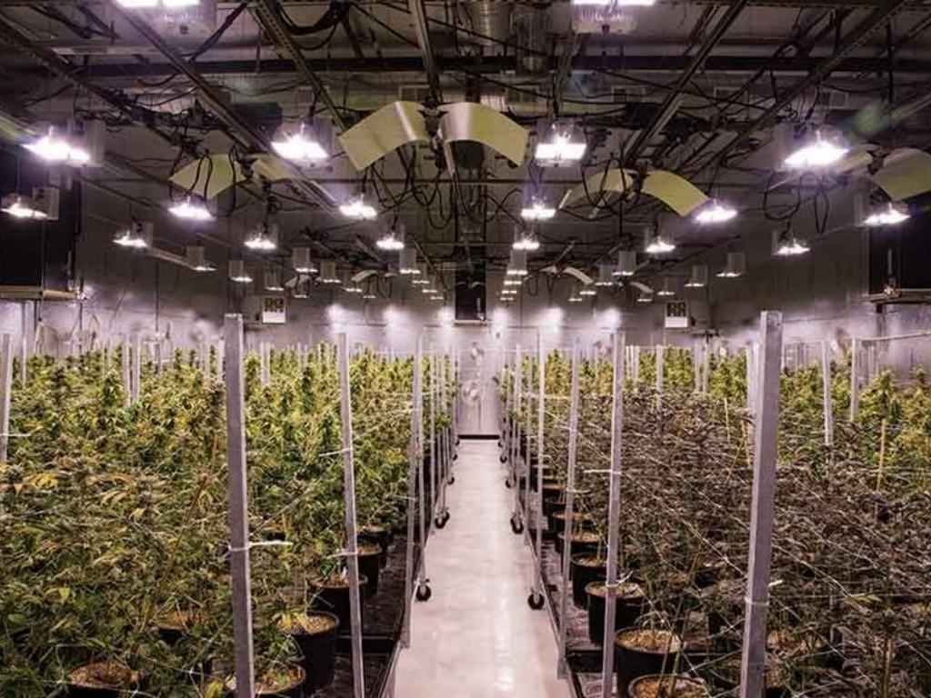  halo-collective-completes-acquisition-of-cannabis-manufacturing-and-distribution-hub-in-oregon 