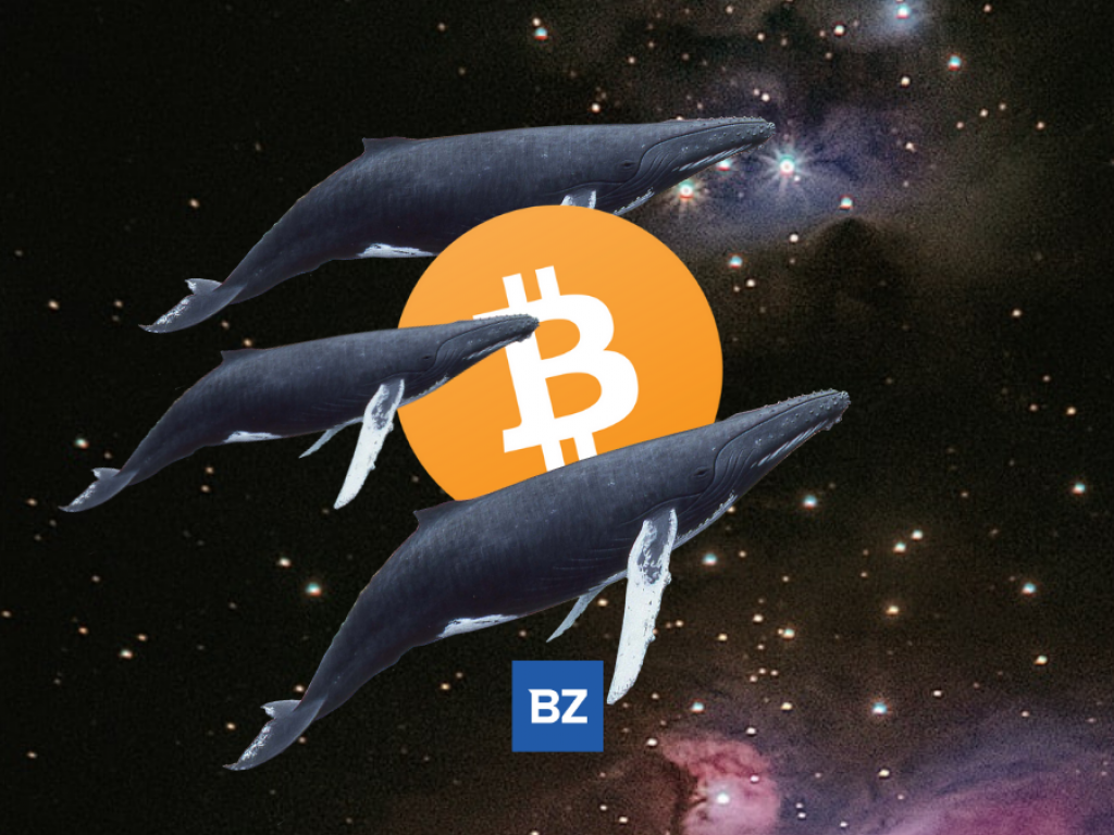 Anonymous Bitcoin Whale Just Moved $73M Worth Of BTC Off Coinbase