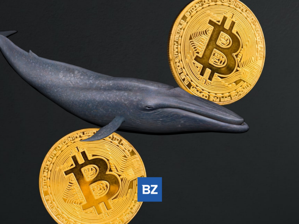 Anonymous Bitcoin Whale Just Moved $68M Worth Of BTC Off Coinbase