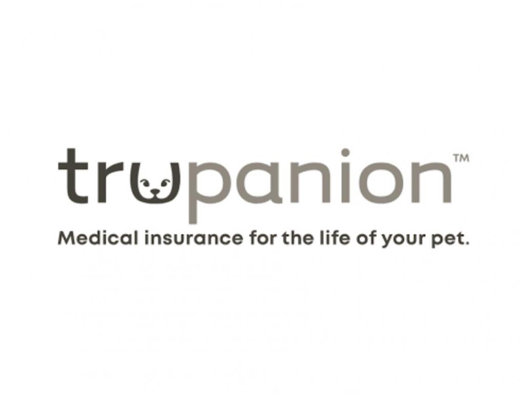  trupanion-ionq-3m-and-other-big-stocks-moving-higher-in-fridays-pre-market-session 