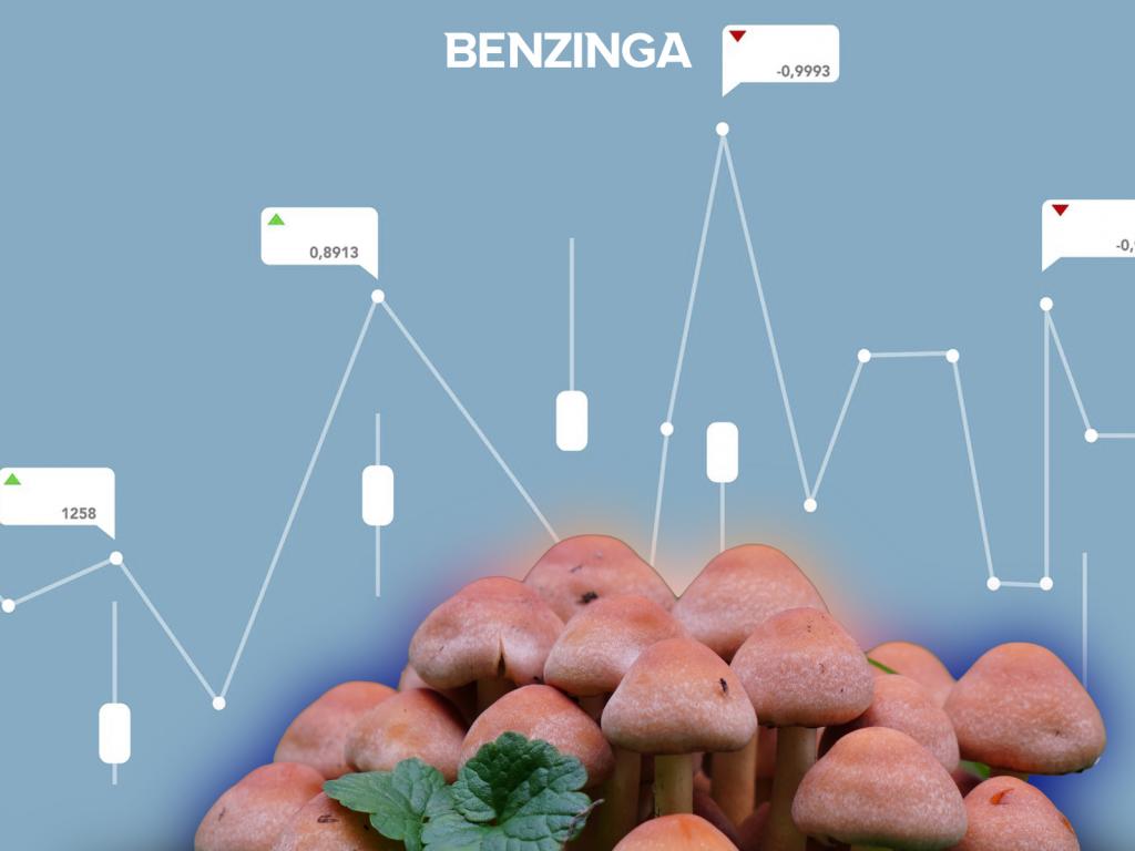  natural-psilocybin-companies-diversify-latest-by-optimi-red-light-holland-and-a-european-player 