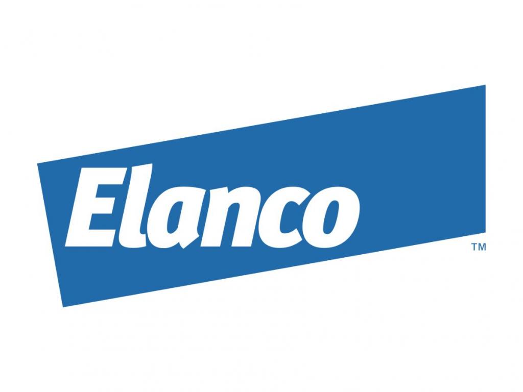  elanco-animal-health-sovos-brands-veritiv-graham-and-other-big-stocks-moving-higher-on-monday 