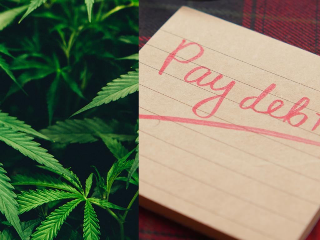  multi-million-dollar-real-estate-deal-slashes-debt-for-toronto-cannabis-maker 