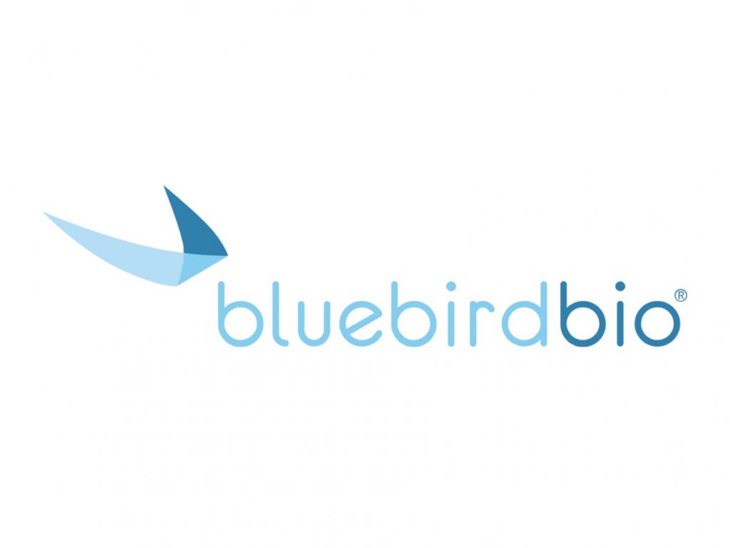  bluebird-bio-to-rally-around-267-here-are-10-top-analyst-forecasts-for-wednesday 