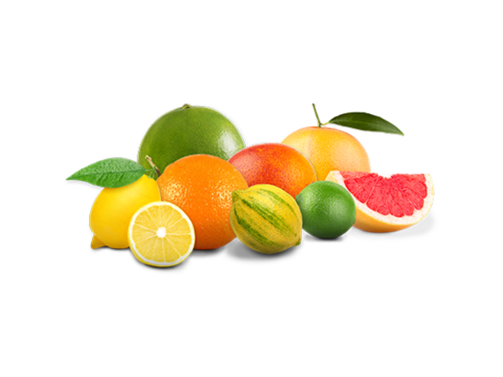  why-citrus-fruits-company-limoneiras-shares-are-seeing-blue-skies-today 