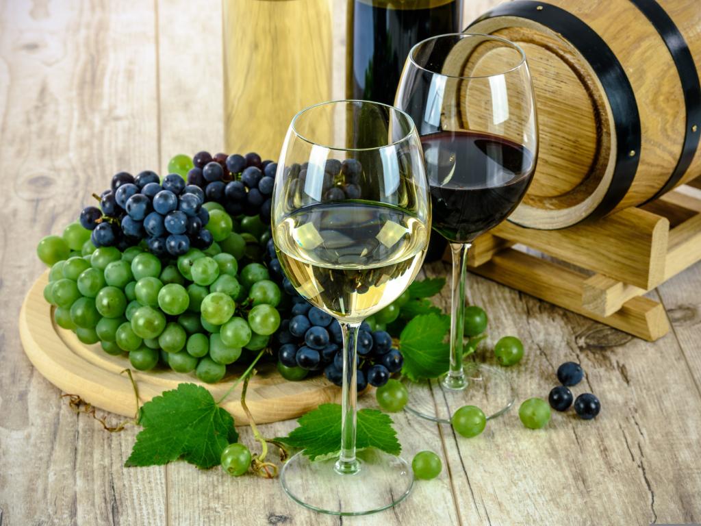  why-fresh-vine-wine-vine-stock-is-falling 