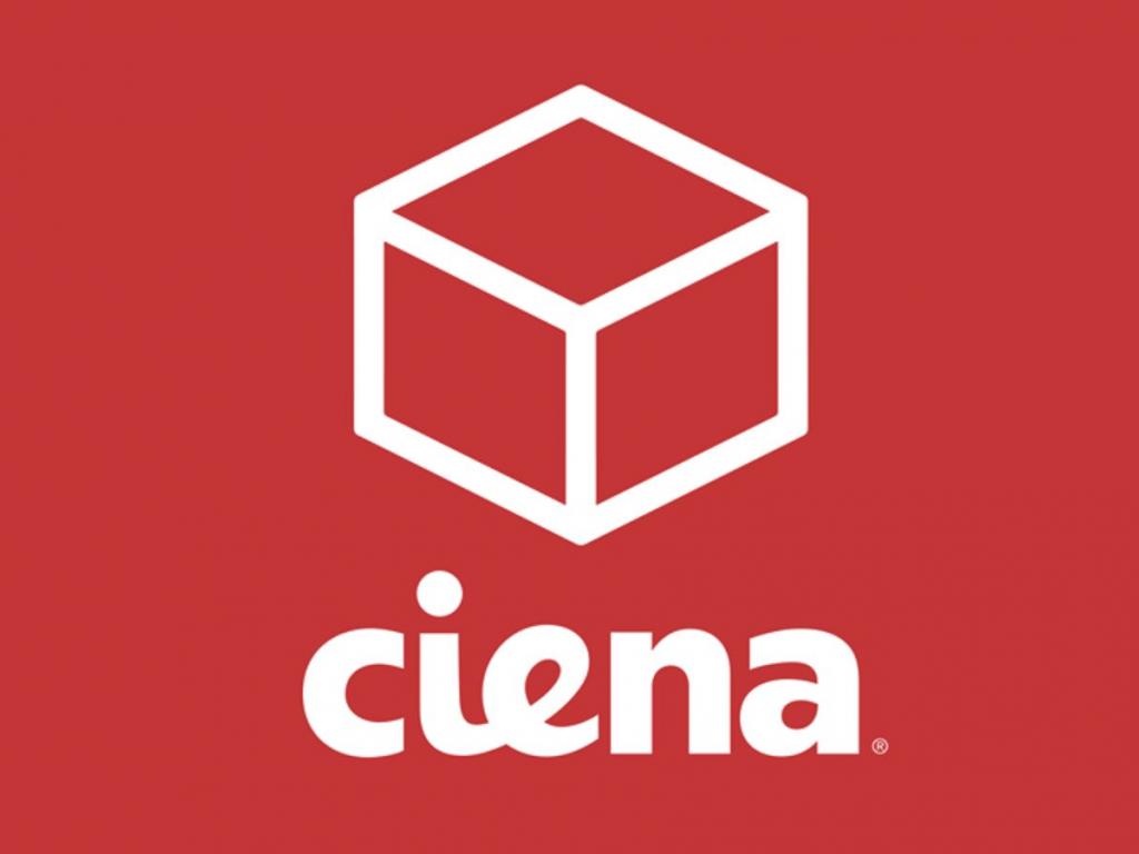  ciena-autonation-and-2-other-stocks-insiders-are-selling 