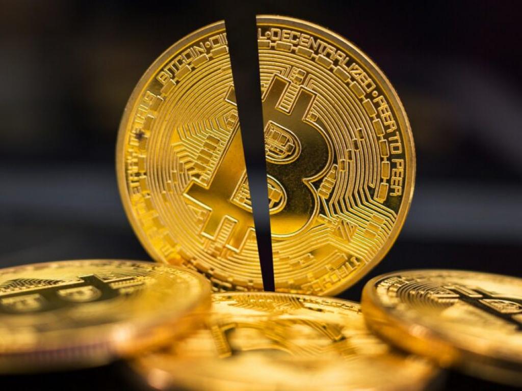  bitcoin-transaction-fees-hit-a-5-year-low-after-halving-event-trump-voters-show-preference-for-robert-kennedy-jr-over-biden-according-to-recent-polls---top-headlines-today-while-us-slept 