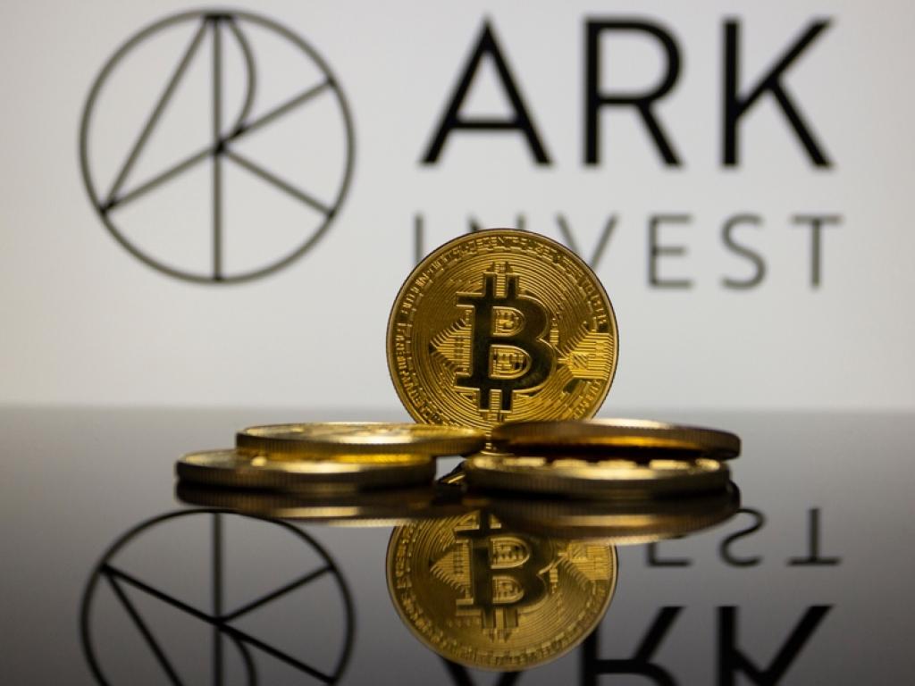  cathie-woods-ark-invest-says-bitcoin-could-be-priming-for-over-3000-rally-over-next-12-months-as-king-crypto-becomes-less-inflationary-than-gold-after-halving 