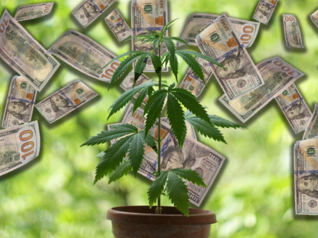  medical-marijuana-giant-trulieve-backer-of-floridas-recreational-cannabis-ballot-narrows-loss-reports-uptick-in-q1-revenue-gross-profit 