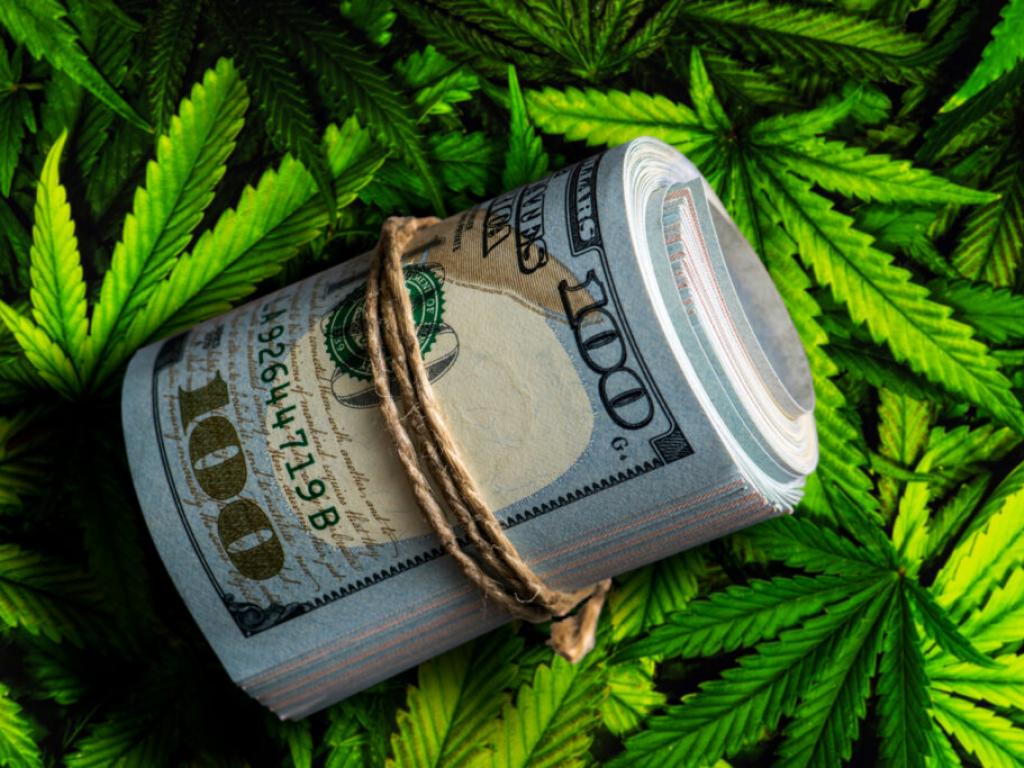  cannabis-tech-firm-agrify-significantly-cuts-loss-but-also-sees-revenue-decline 