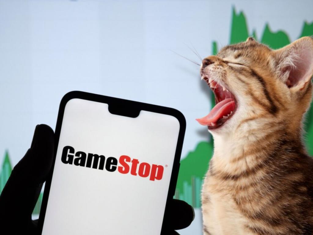  roaring-kitty-disrupts-gamestops-annual-meeting--is-national-take-your-cat-to-work-day-next 
