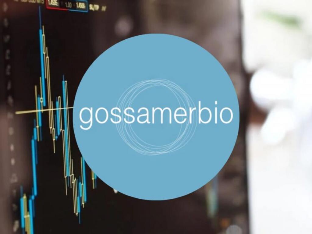  gossamer-bios-clean-safety-profile-differentiates-it-from-merck-analyst-says 