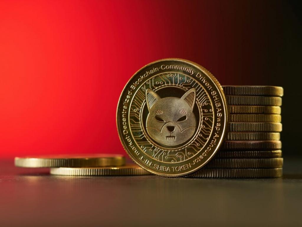  dogecoin-killer-shiba-inu-developers-outline-future-plans-in-first-ever-interview 