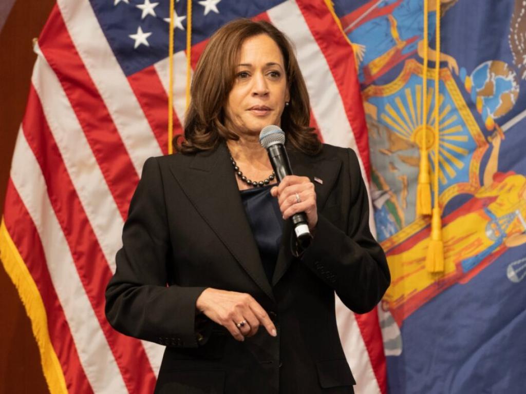  kamala-harris-says-shes-taken-on-perpetrators-of-all-kinds-before-i-know-donald-trumps-type 