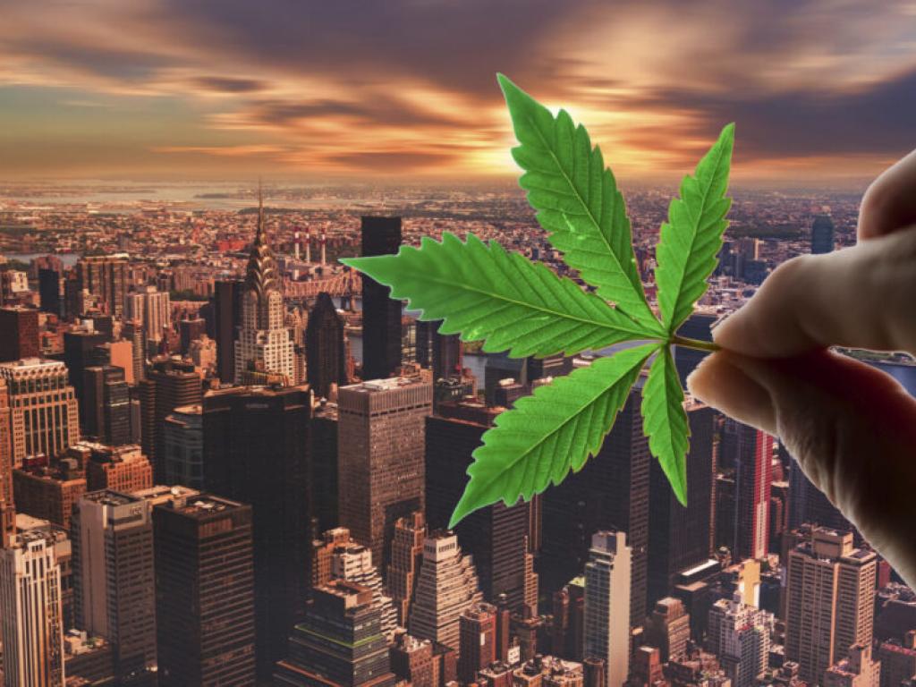  curaleaf-will-sell-weed-to-new-yorkers-at-two-additional-retail-locations-opens-new-medical-cannabis-dispensaries 