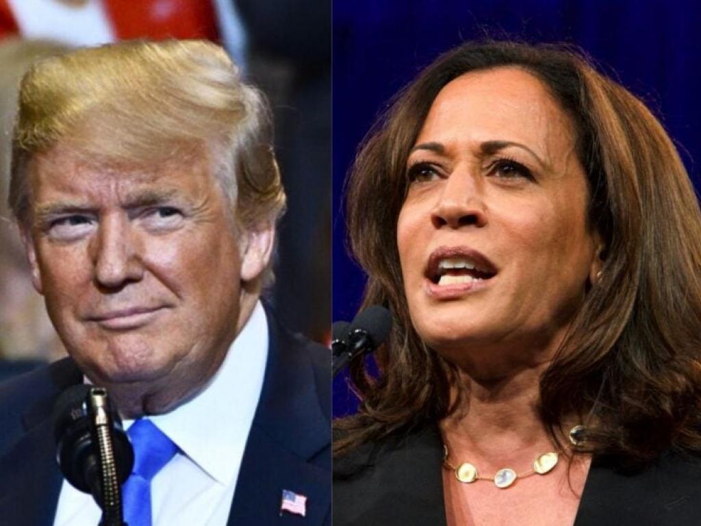  trumps-policies-may-boost-oil-and-crypto-while-harris-presidency-remains-a-market-wild-card-says-expert-a-lot-harder-to-predict 