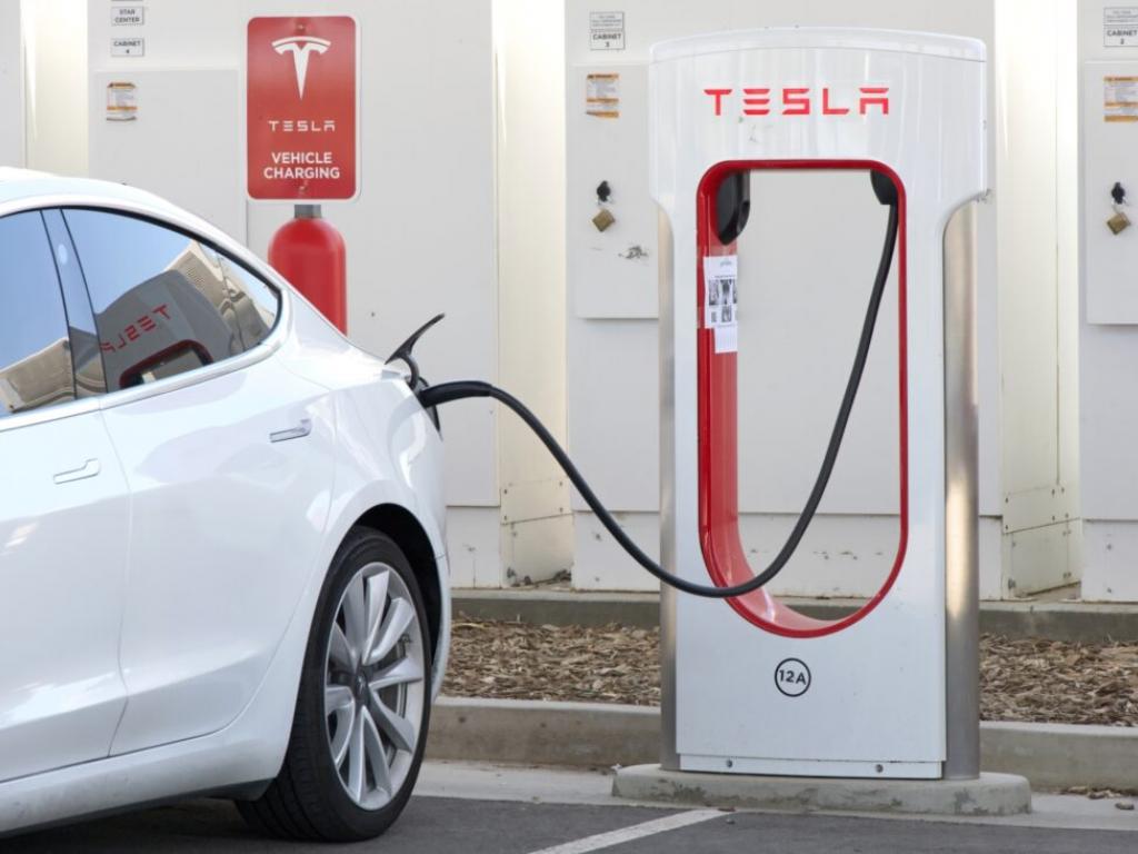  elon-musk-vows-to-investigate-teslas-lawsuit-against-evject-in-response-to-female-drivers-safety-concerns-at-charging-stations 