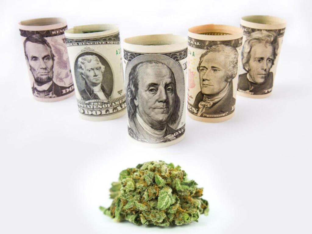  cannabis-focused-software-co-springbig-narrows-q2-net-loss-reports-83-yoy-drop-in-revenue 