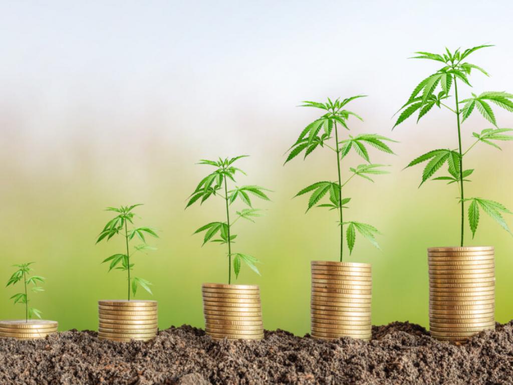  marijuana-growing-solution-provider-agrify-reports-41-yoy-revenue-drop-cuts-loss-plans-new-strategies 