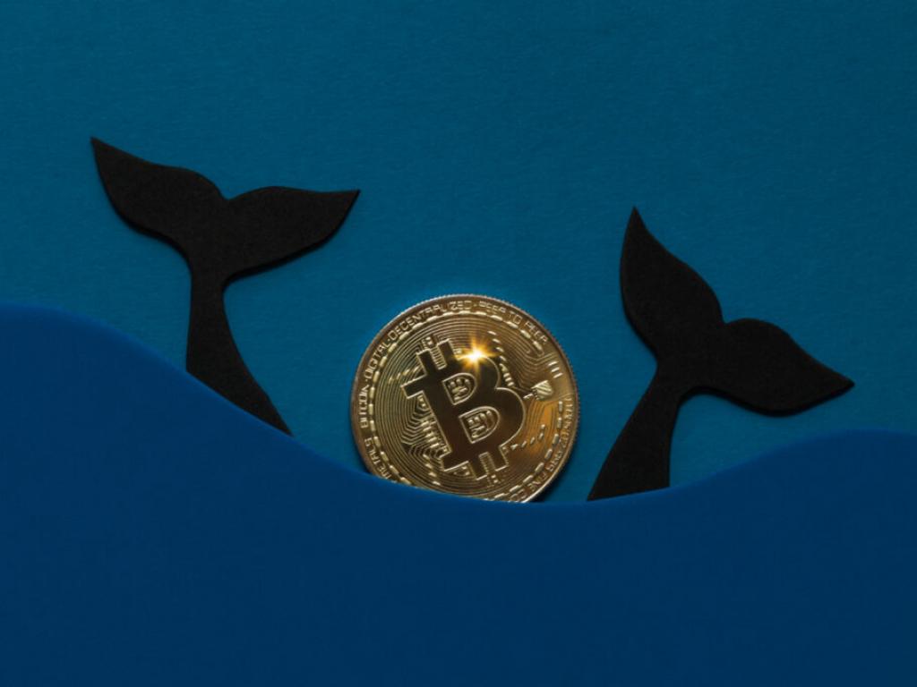  bitcoin-whale-wallets-shuffle-their-coins-is-this-cause-for-concern 