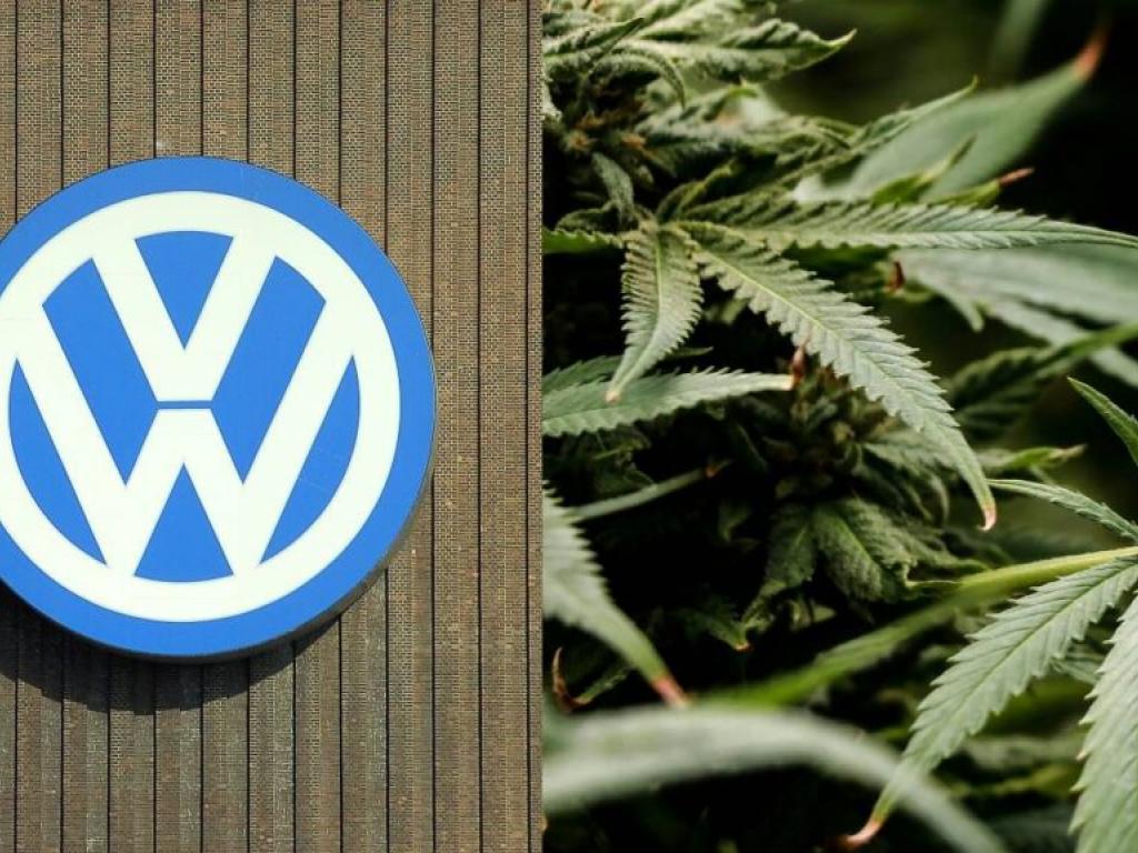  volkswagen-considers-hemp-to-develop-sustainable-substitute-for-imitation-leather 