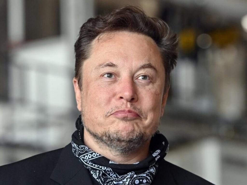  while-elon-musk-backs-trump-for-the-white-house-his-teams-at-tesla-x-and-spacex-are-supporting-kamala-harris-employees-have-reportedly-donated-over-90k-to-vice-presidents-campaign 