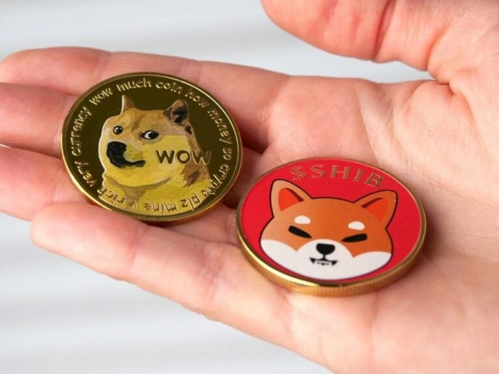  dogecoin-rallied-45-dogecoin-killer-shiba-inu-8-what-is-going-on 