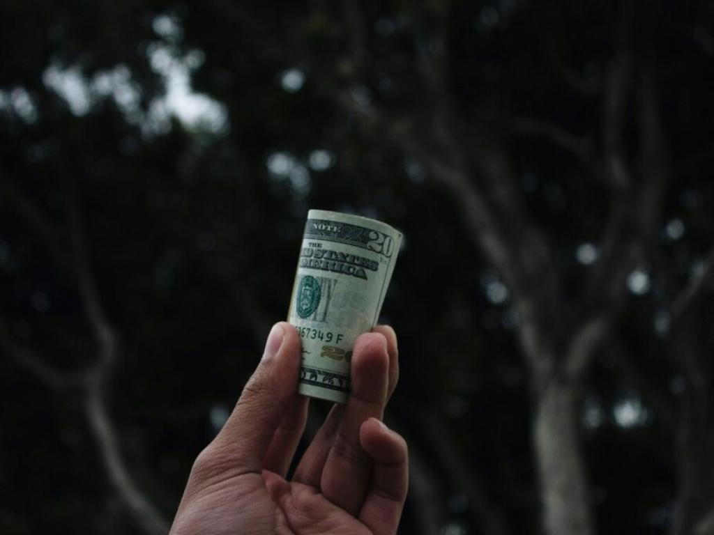 cannabis-co-vireo-reports-2-yoy-revenue-growth-secures-10m-in-financing