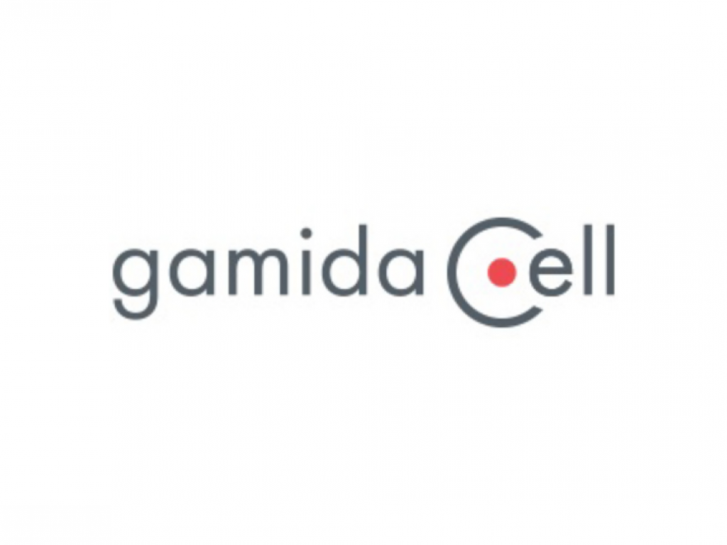  why-gamida-cell-shares-are-falling-today 