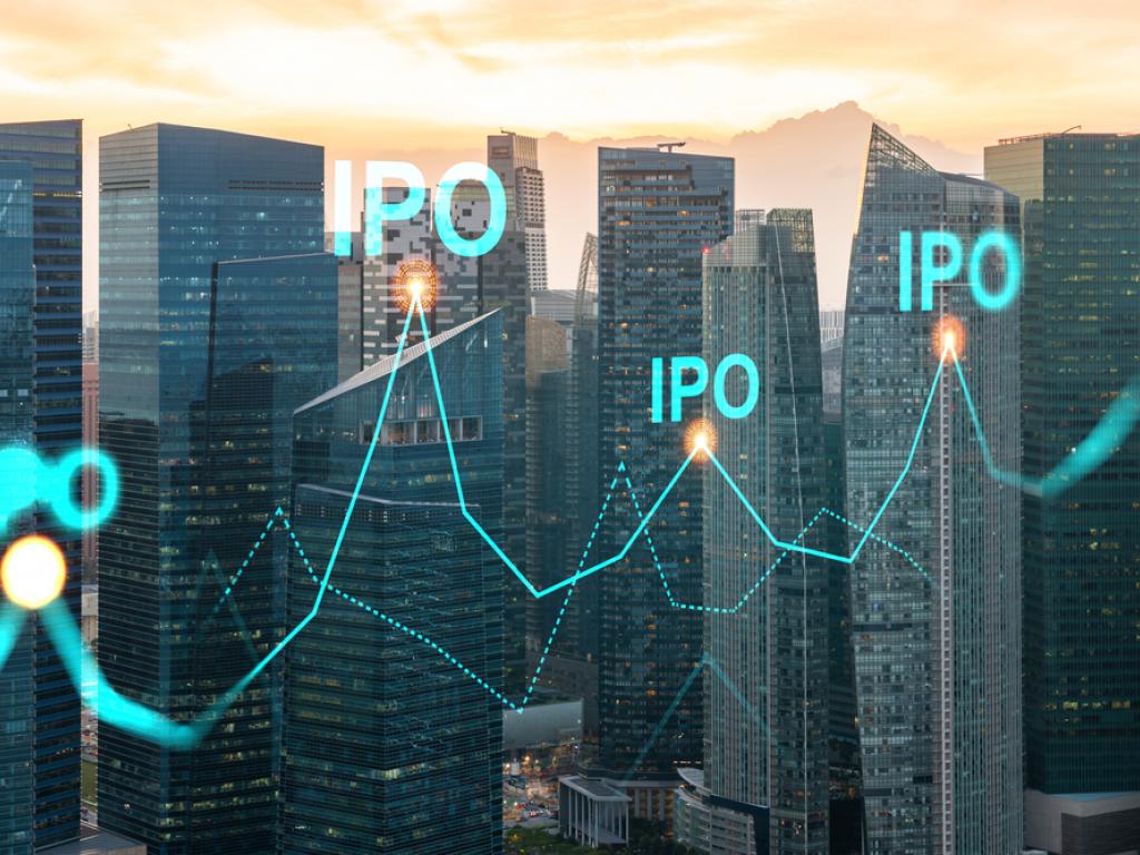 ipo-revival-in-2024-plaid-chime-and-kim-kardashians-skims-among-potential-market-movers 