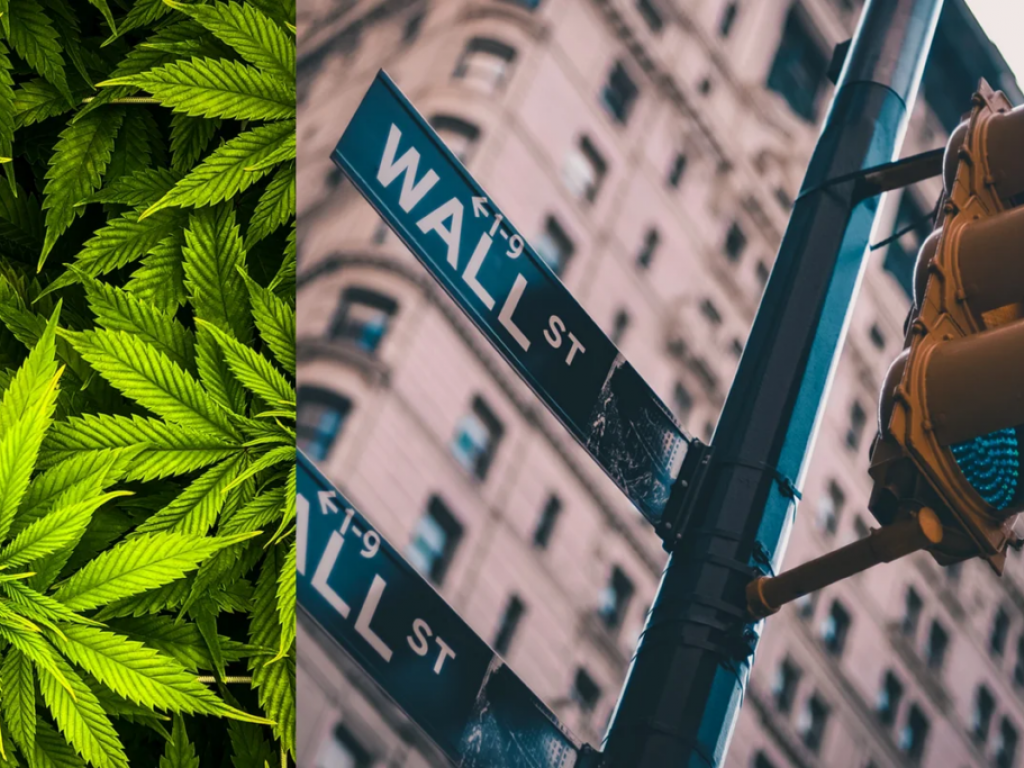  wall-street-waves-goodbye-to-weed-testing-how-financial-giants-reshape-job-eligibility-in-the-cannabis-era 