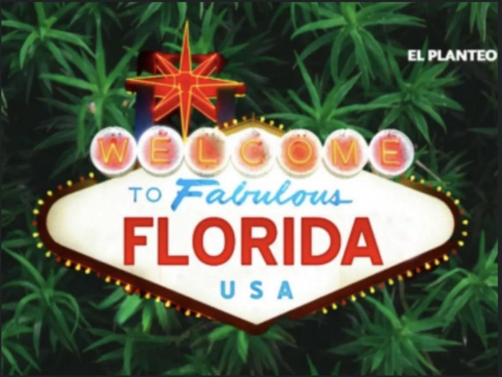  cannabis-legalization-headed-for-the-ballot-again-in-florida-advocates-launch-new-amendment-initiative 
