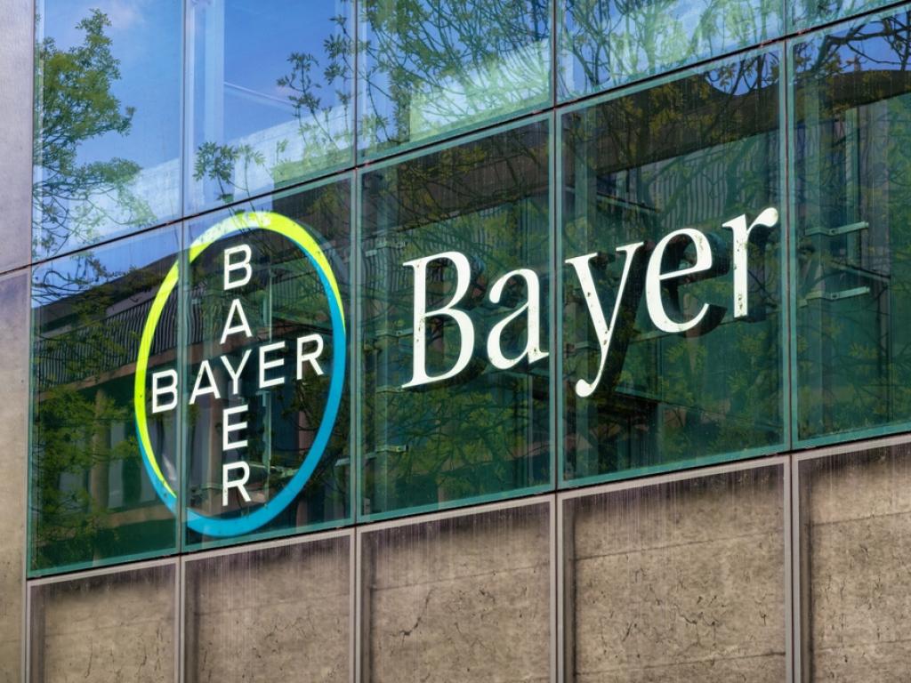  bayer-ceo-2025-will-be-most-difficult-year-in-turnaround-plan-expects-improved-performance-from-2026-onwards 