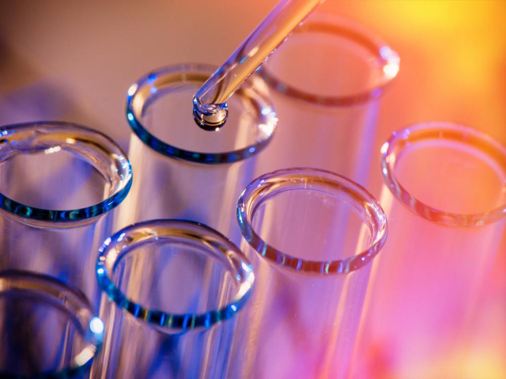  pliant-therapeutics-investigational-cancer-drug-shows-antitumor-activity-across-multiple-tumor-types 