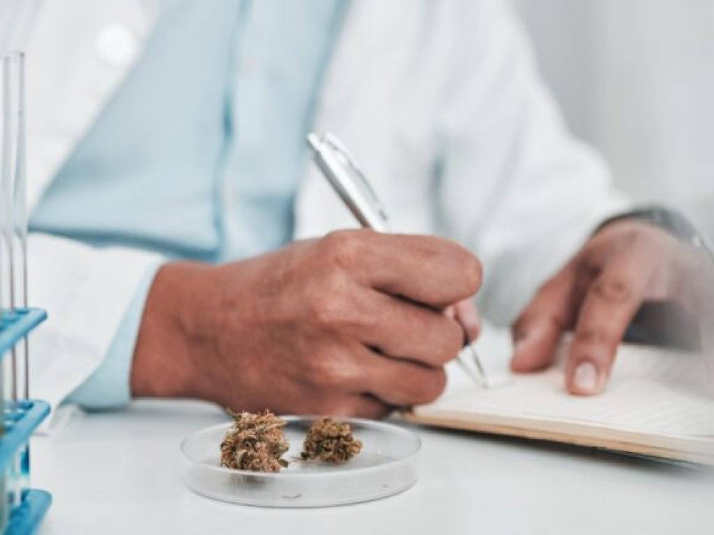  whats-going-on-with-tilray-brands-stock-today 