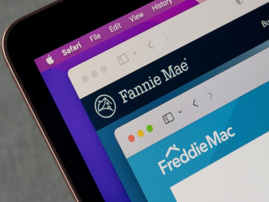  with-a-historic-public-offering-on-the-horizon-fannie-mae-and-freddie-macs-rally-is-bolstered-by-solid-consumer-sentiment-figures 
