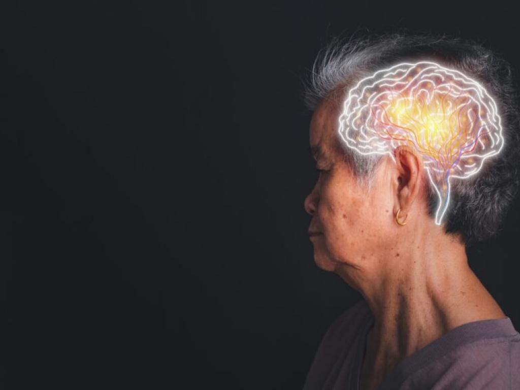  anavex-life-pre-treatment-prevented-cognitive-impairment-in-animal-model-of-alzheimers-disease-new-publication-shows 