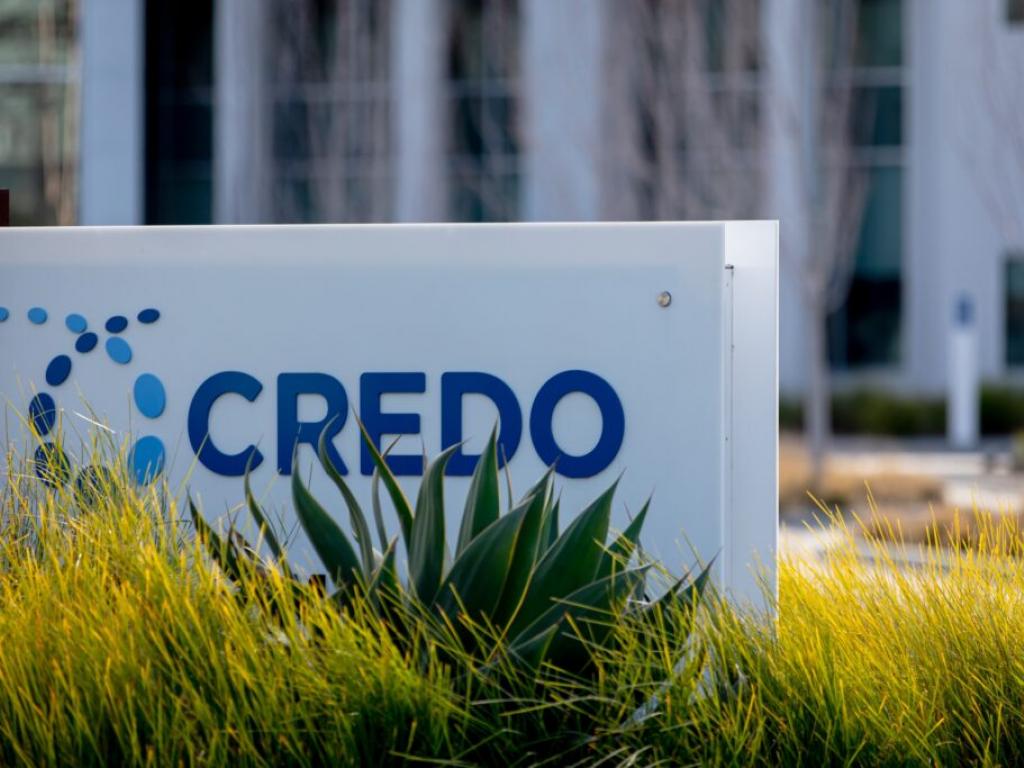  credo-stock-is-trading-higher-thursday-whats-going-on 